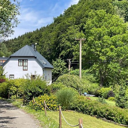 Vila Aja Svoboda nad Úpou Exterior foto